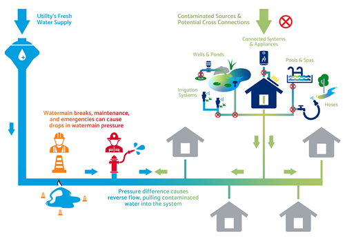 Cross Connections Infogram Cross Connections Infogram