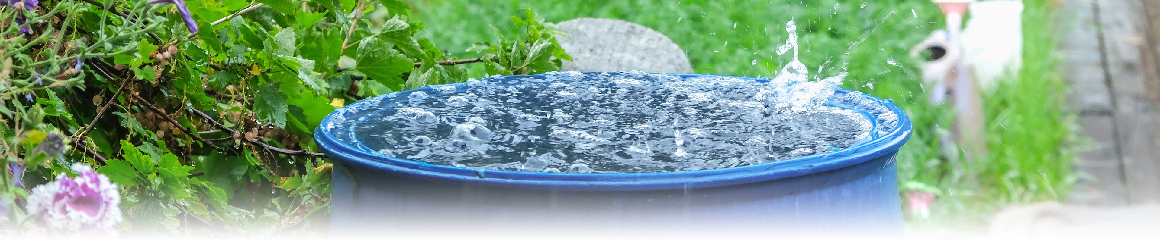 A garden rain barrel overflowing with water in the rain.