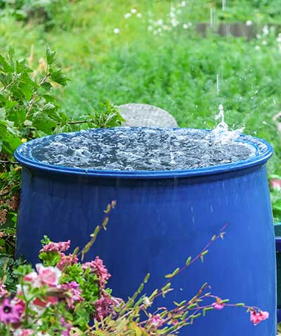A garden rain barrel overflowing with water in the rain.