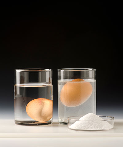 The saltwater experiment being done with two eggs in two glasses and mound of salt.