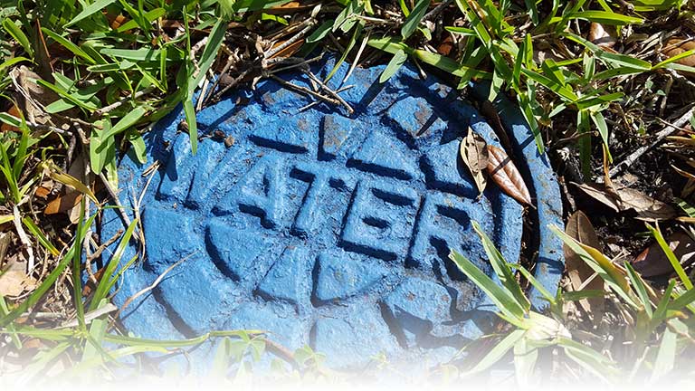 A blue "WATER" meter cover in the grass.