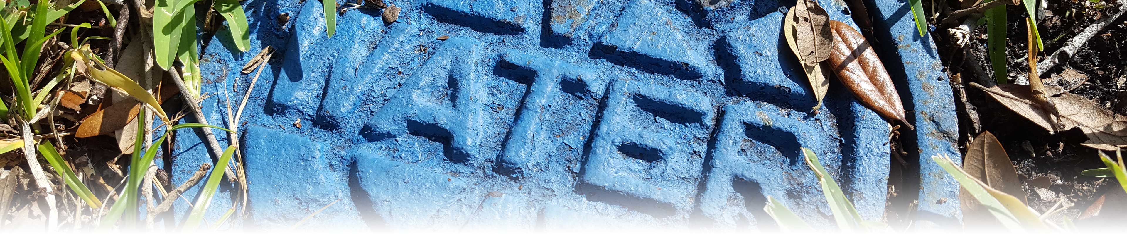 A blue "WATER" meter cover in the grass.