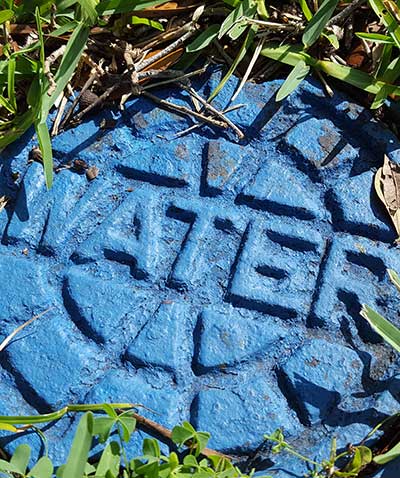 A blue "WATER" meter cover in the grass.