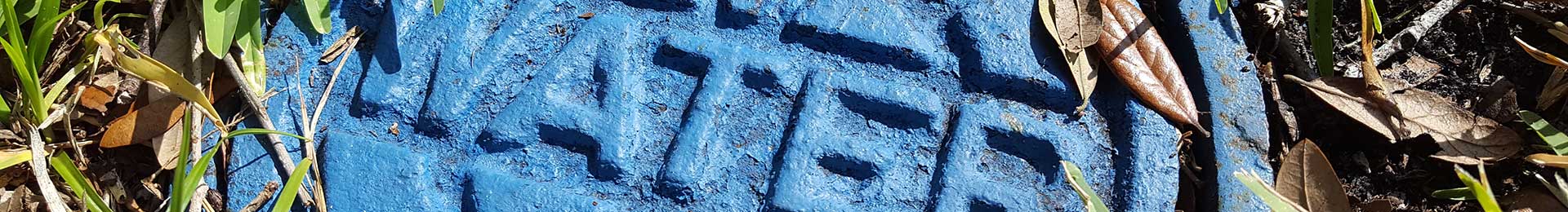 A metal water meter cover surrounded by lawn grass.